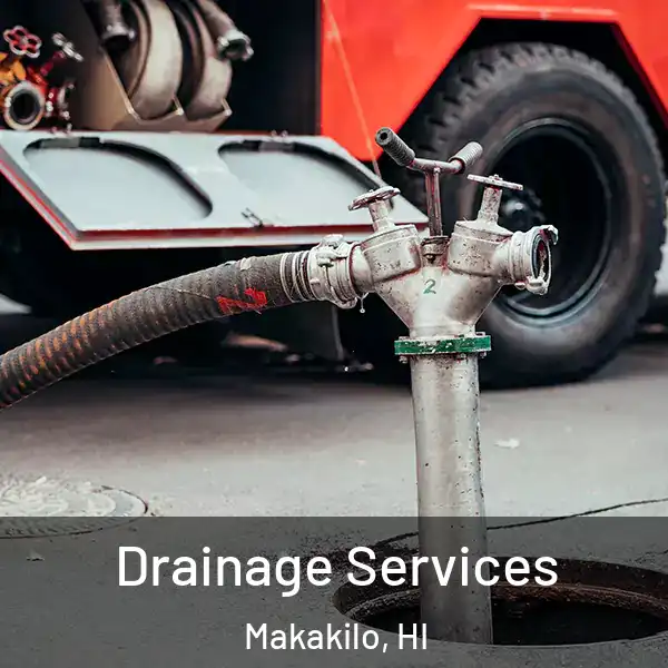  Drainage Services Makakilo, HI