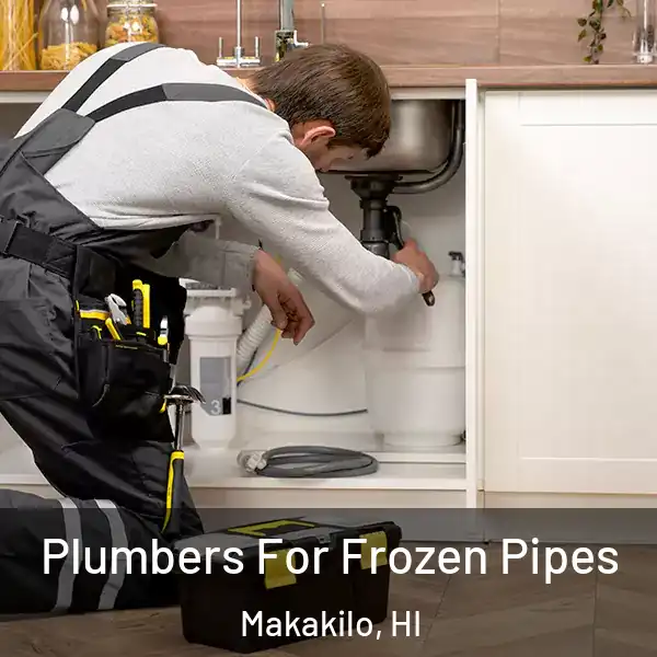  Plumbers For Frozen Pipes Makakilo, HI