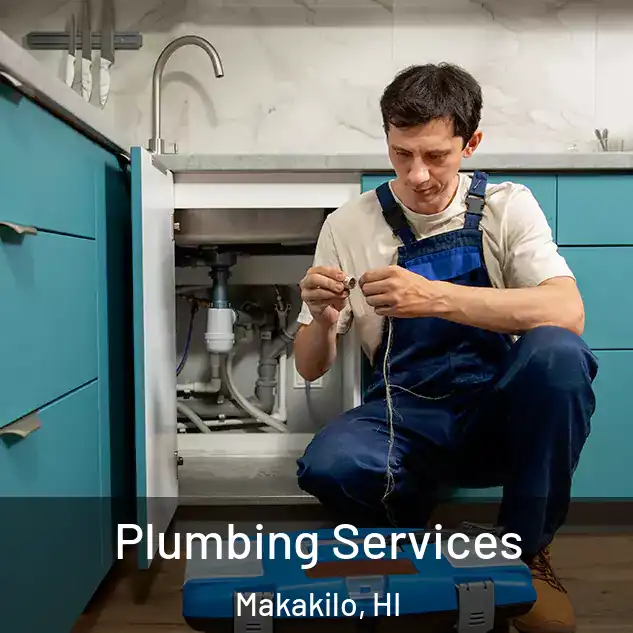 Plumbing Services Makakilo, HI